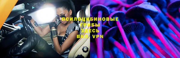 Альфа ПВП Верея
