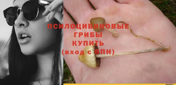 mdpv Бронницы