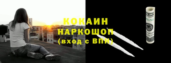Альфа ПВП Верея